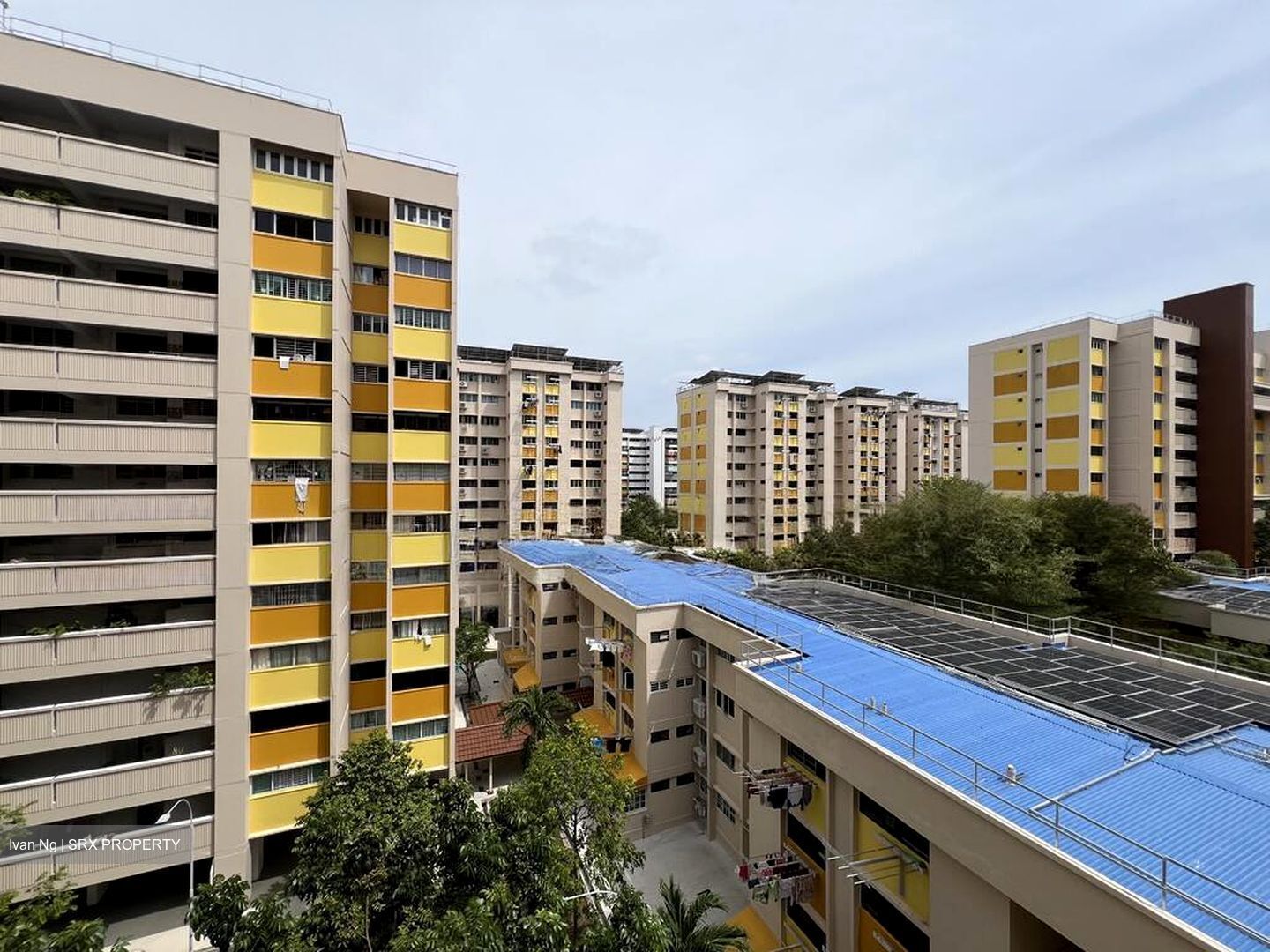 Blk 221 Tampines Street 24 (Tampines), HDB 4 Rooms #524342751